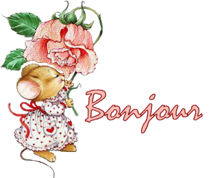 bonjour